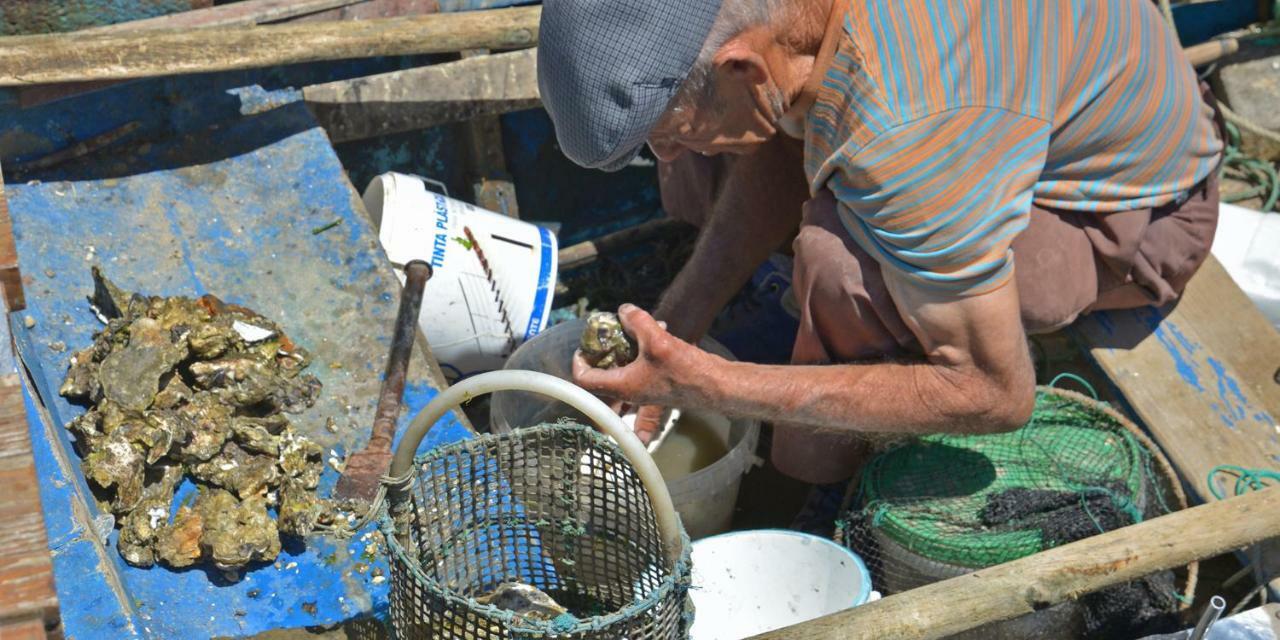 Quinta Luz Do Sol Acomodação com café da manhã Moncarapacho Exterior foto